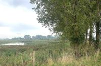 Natuurgebied gelegen naast Fort bij Nigtevegt