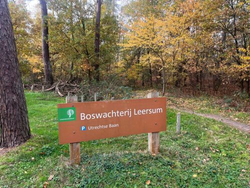 Gevarieerd bosperceel in boswachterij Leersum