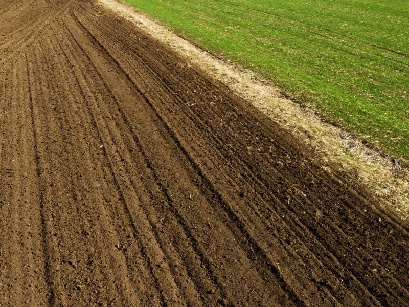 Stijging agrarische grondprijs niet te stuiten.