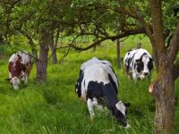 Een gezonde toekomst voor boer en natuur