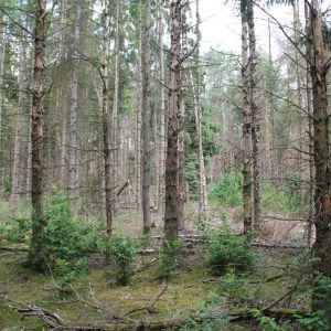 img-7002