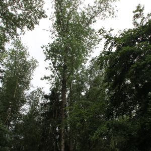 img-7093-min
