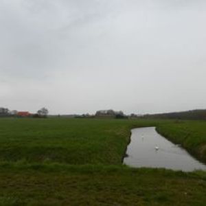 385-360x240