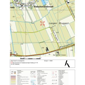 uittreksel-kadastrale-kaart-met-omgevingskaart-aalburg-a-172-2