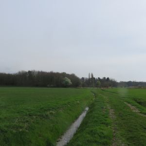 IMG_0452