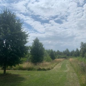 641_1080