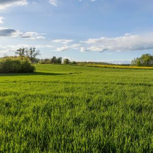 6627b46495d92-1713878116-1920