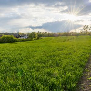 6627b4669f8601713878118-1920